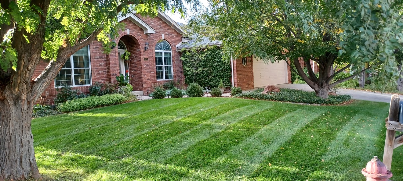 Lawn & Plant Design project