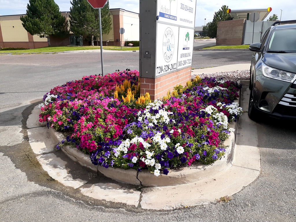 Lawn & Plant Design project