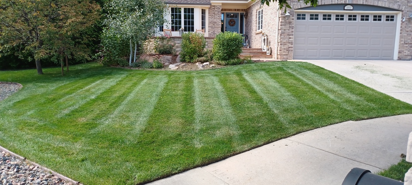 Lawn & Plant Design project