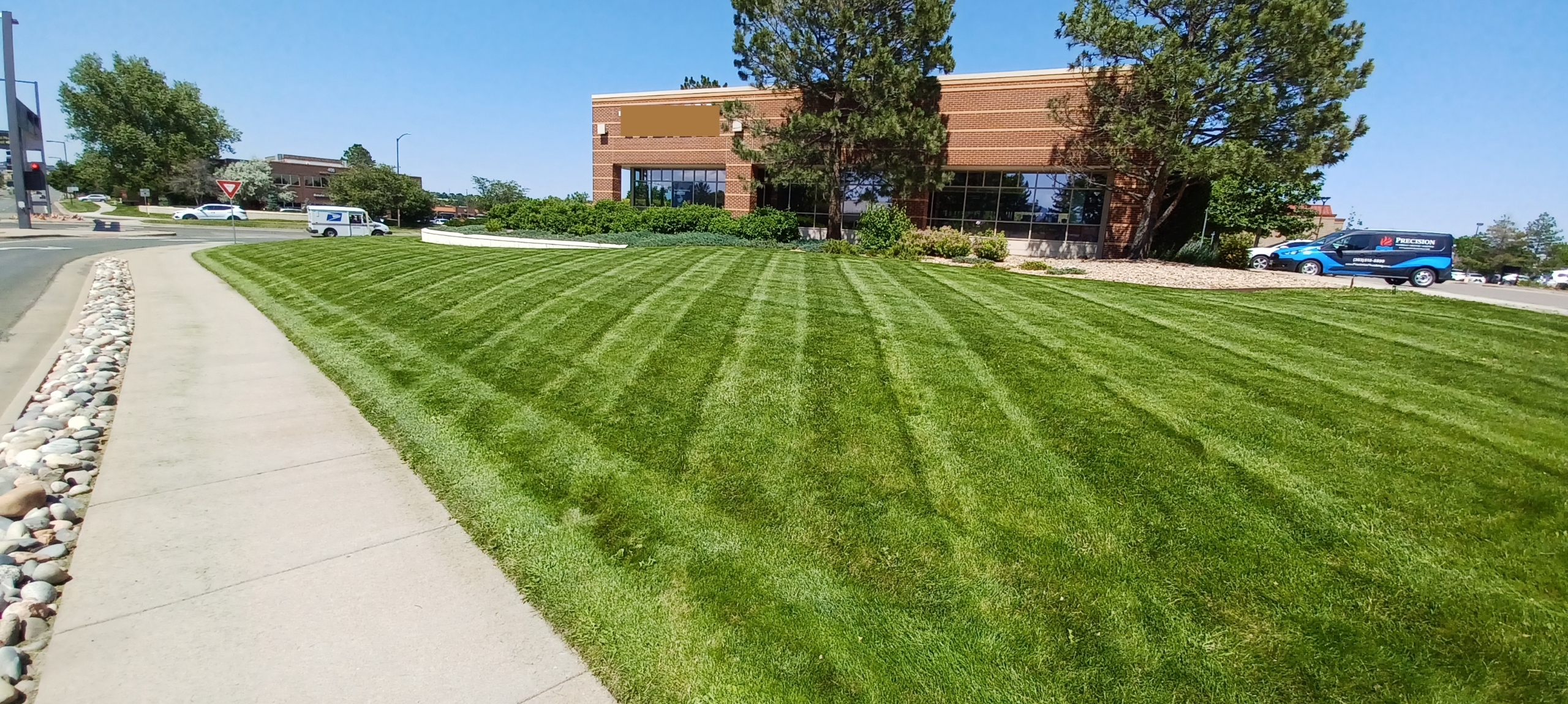 Lawn & Plant Design project