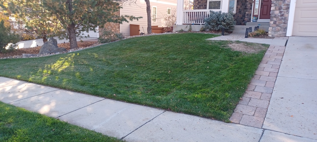 Lawn & Plant Design project