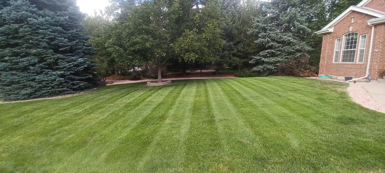 Lawn & Plant Design project