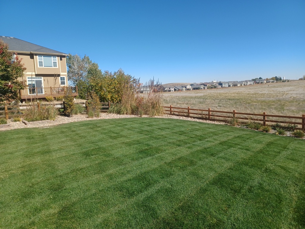 Lawn & Plant Design project