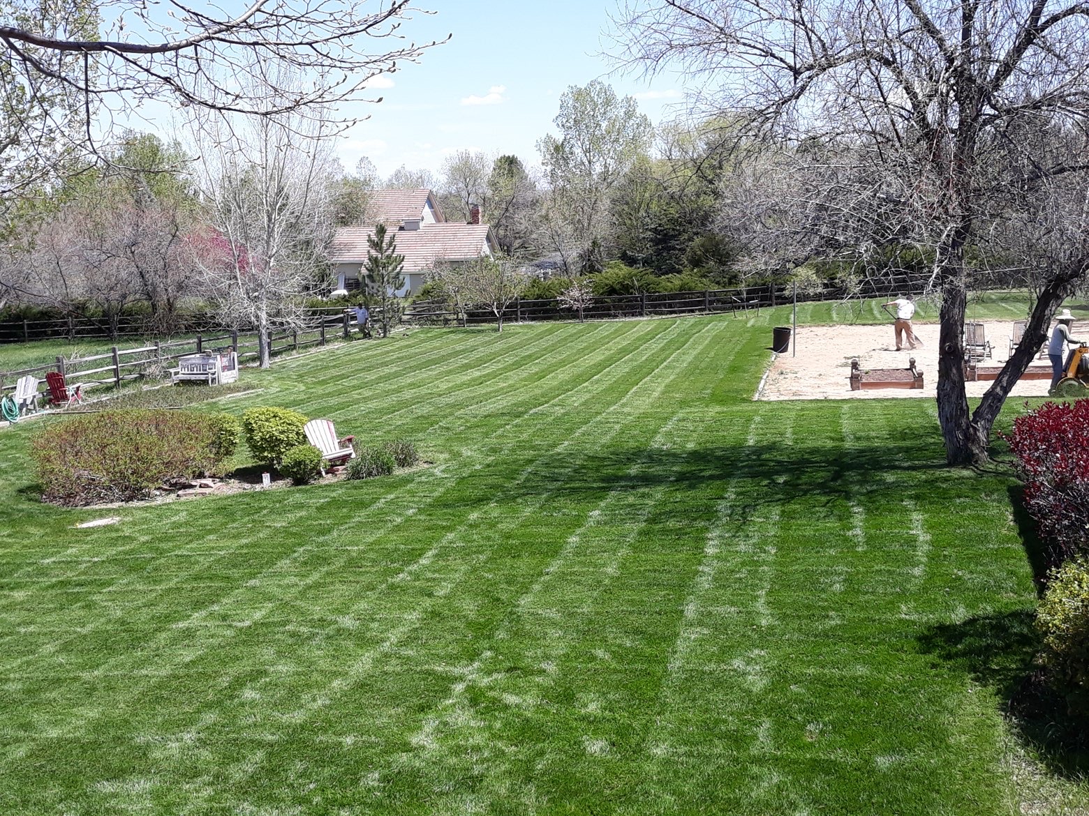 Lawn & Plant Design project